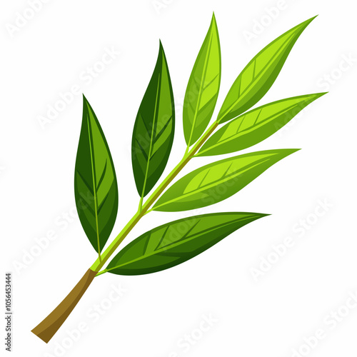 bamboo leaf