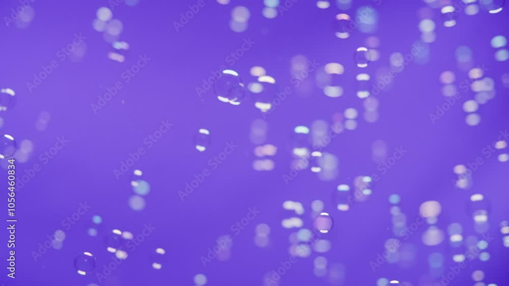Soap bubbles falling against the violet background. Abstract background and overlay. Slow motion. 