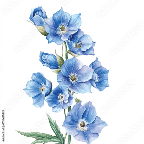 delphinium flower watercolor clipart illustration isolated