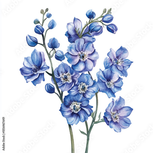 delphinium flower watercolor clipart illustration isolated