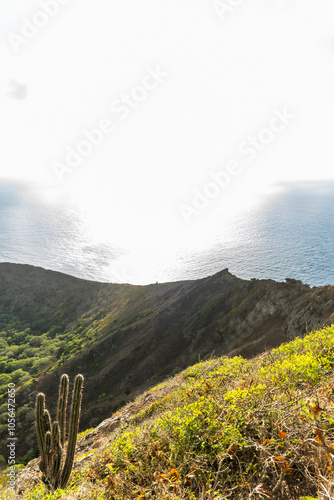 koko crater trail honolulu Hawaii 