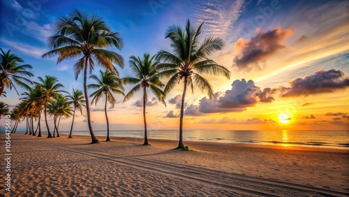 A vast empty beach at sunset with palm trees in the background  tranquility  waves  sand  shore  palm tree