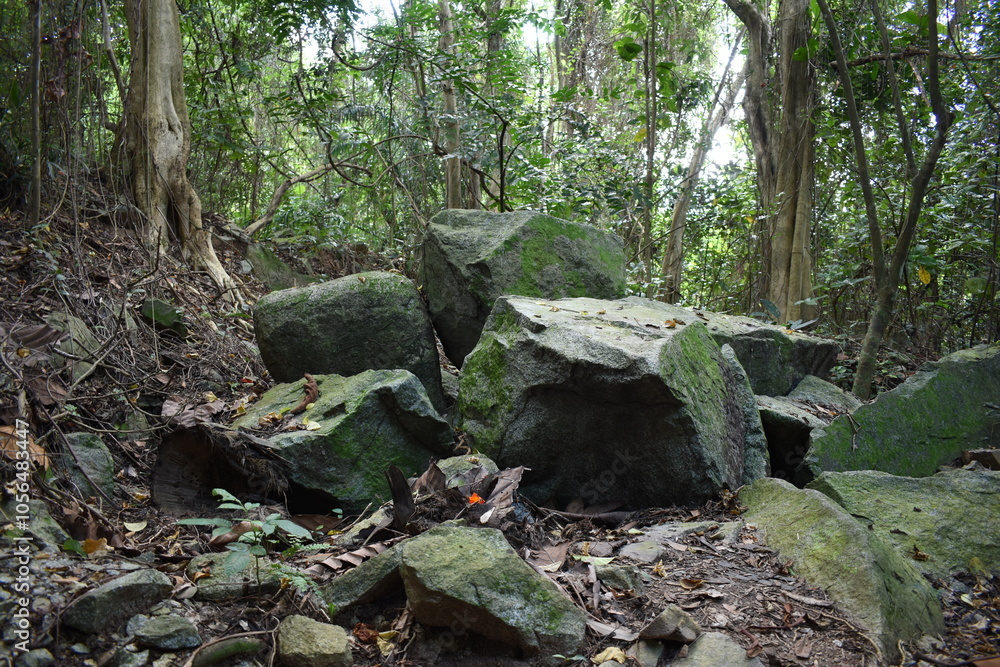 Big rock boulders covered in moss in a tropical rainforest Big rock boulders covered in moss in a tropical rainforest