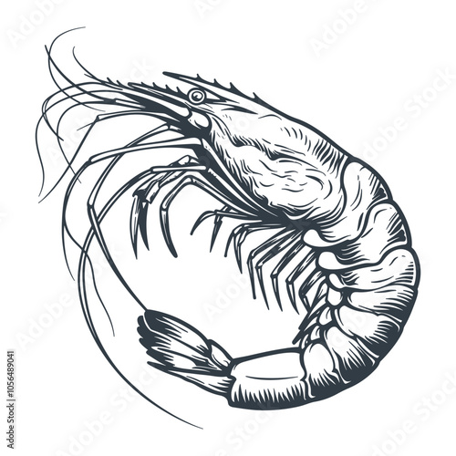 Prawn woodcut drawing vector