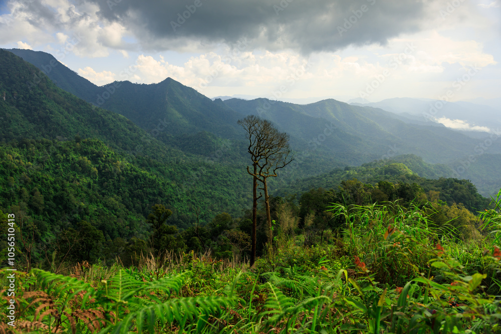 Viewpoint at Phu Soi Dao, Phu Soi Dao National Park, Uttaradit, Thailand Viewpoint at Phu Soi Dao, Phu Soi Dao National Park, Uttaradit, Thailand
