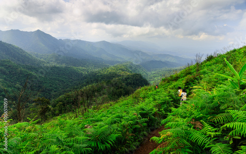 Viewpoint at Phu Soi Dao, Phu Soi Dao National Park, Uttaradit, Thailand photo