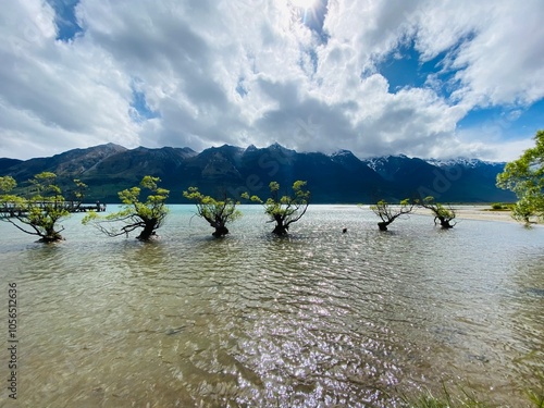 Glenorchy Tree on the lake Wakatipu and beautiful mountains at the background  photo