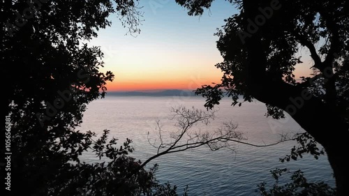 Drone footage of the trees overlooking the Libyan Sea in Makry Gialos at sunrise in Crete, Greece photo