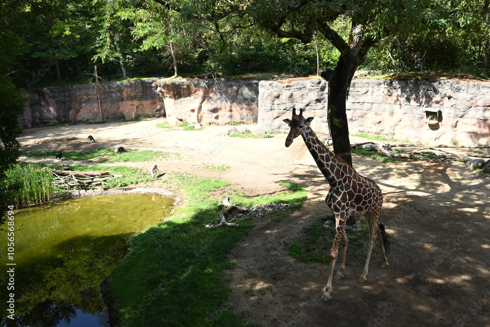 Animal Places Near Me