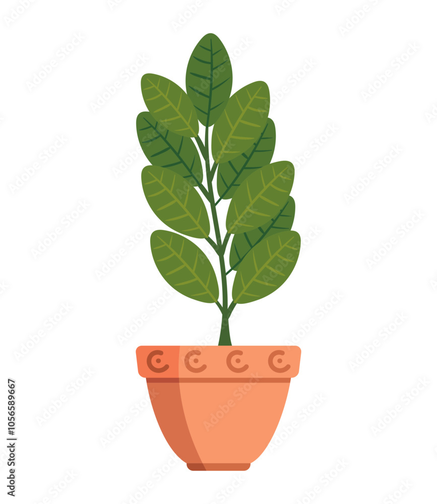 plants succulent leaves plants succulent leaves