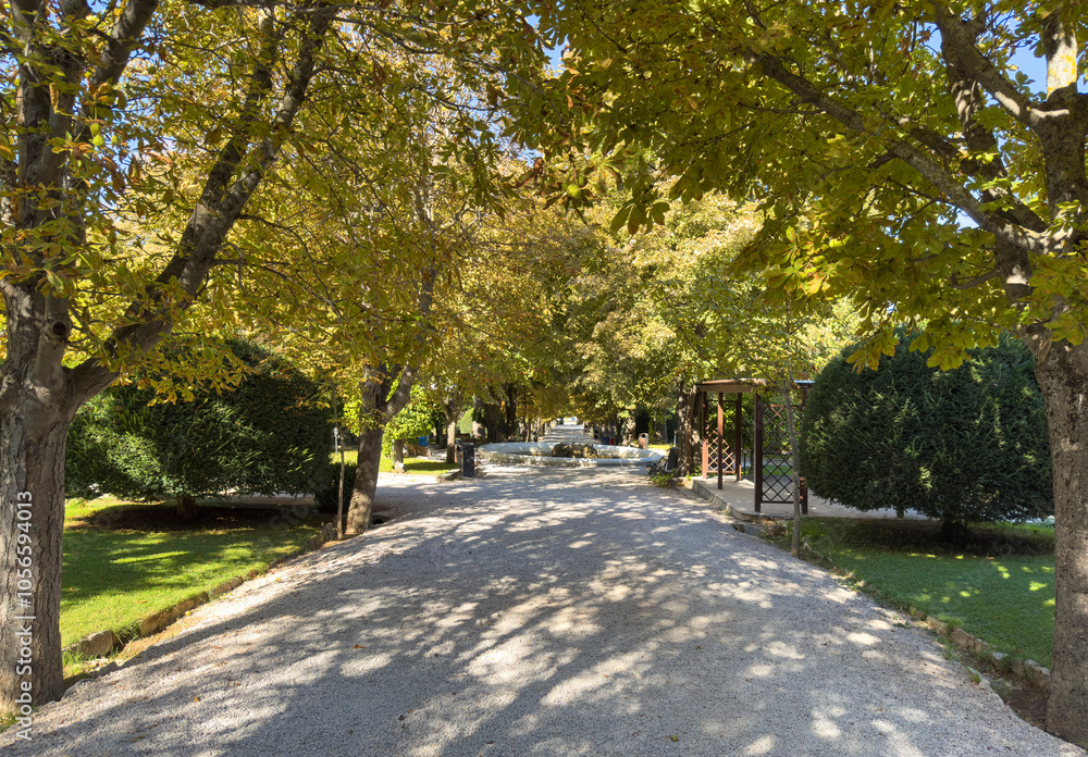 Obraz premium Path at a city park. Footpath through green trees, blue sky