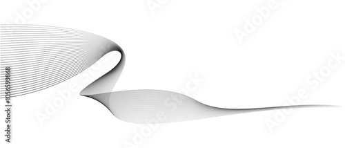 Abstract vector wavy lines flowing smooth curve black on transparent background in concept of technology, science, music, modern.