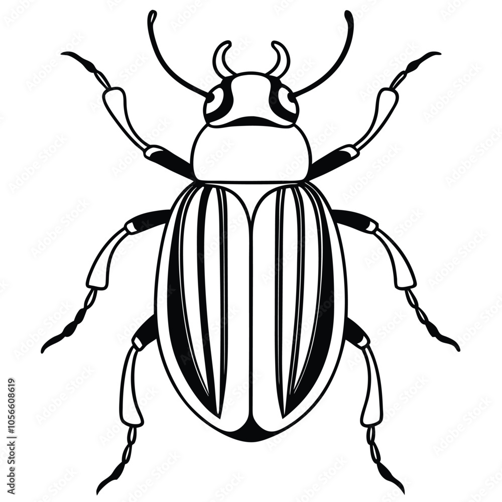beetle vector illustration black and white beetle vector illustration black and white