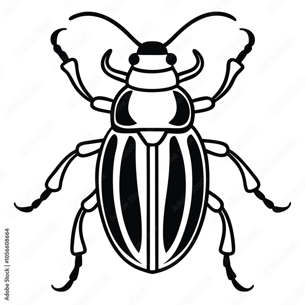 beetle vector illustration black and white beetle vector illustration black and white