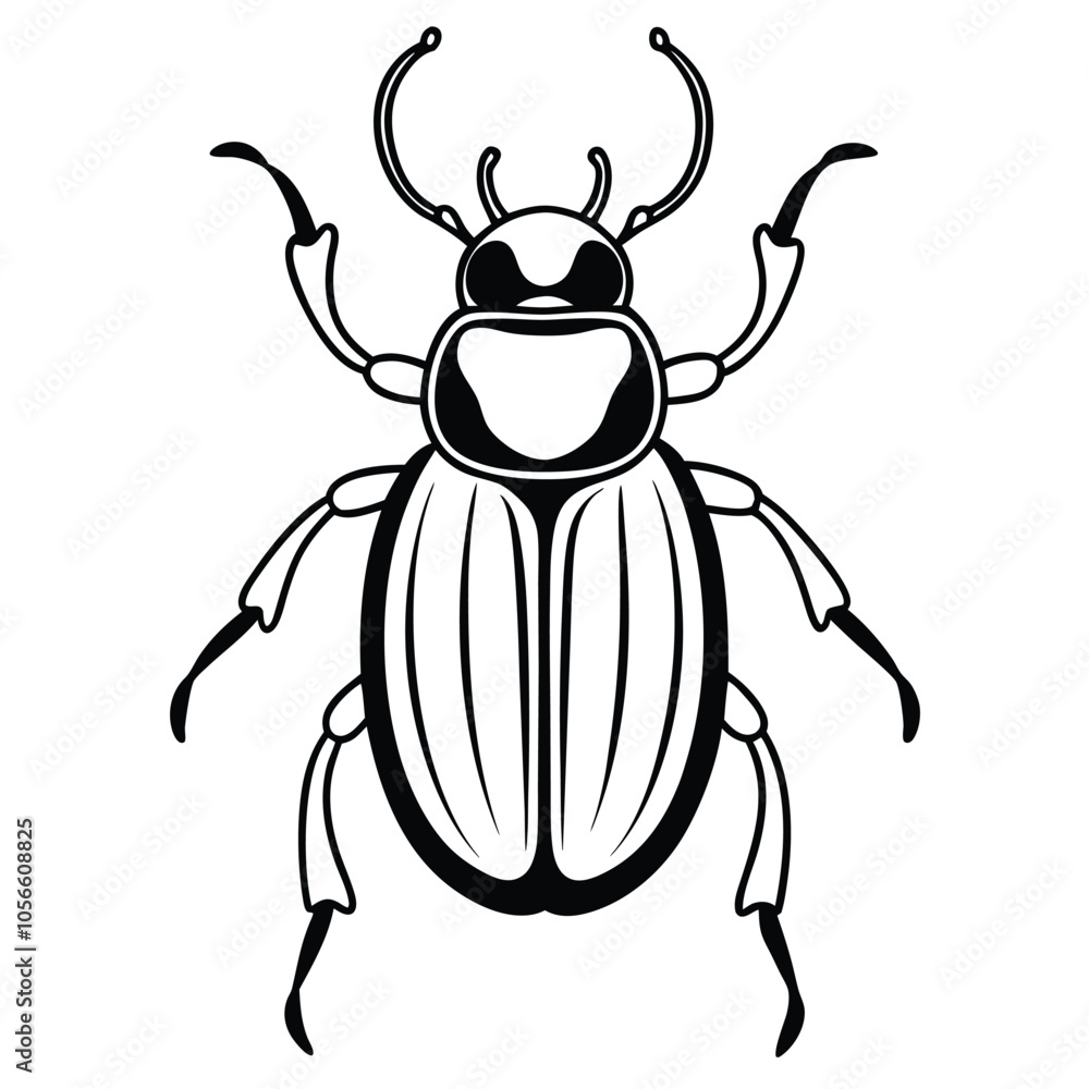 beetle vector illustration black and white beetle vector illustration black and white