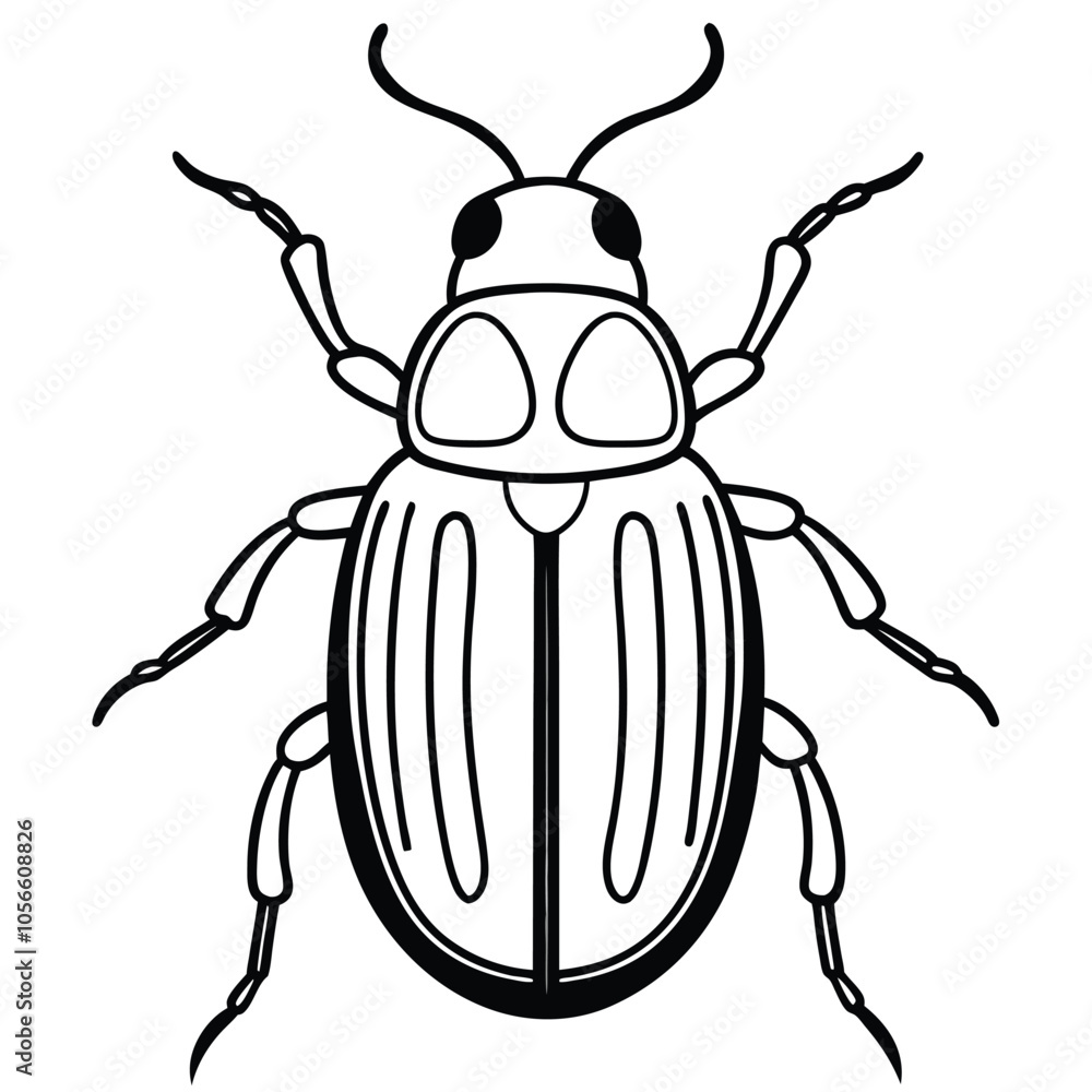 beetle vector illustration black and white beetle vector illustration black and white