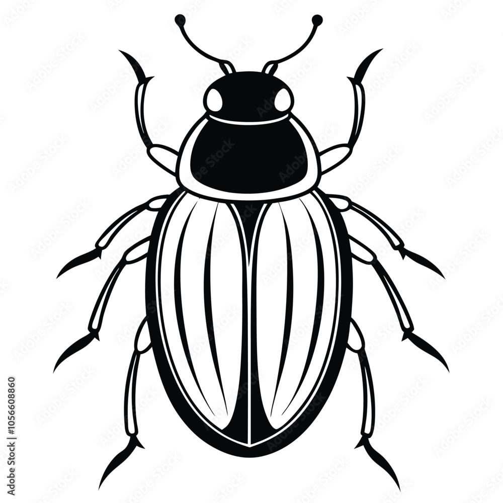 beetle vector illustration black and white beetle vector illustration black and white