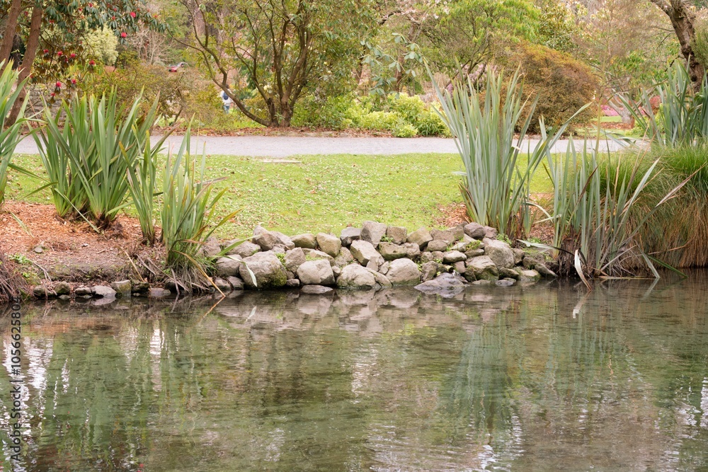 Shoreline of a Small Creek in a Park: Serene Nature Scene Shoreline of a Small Creek in a Park: Serene Nature Scene