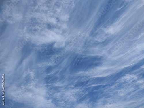 東京のそら(24.10.31)