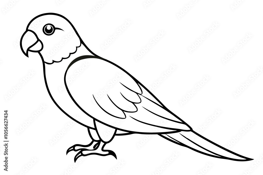 Obraz premium parrot isolated on white