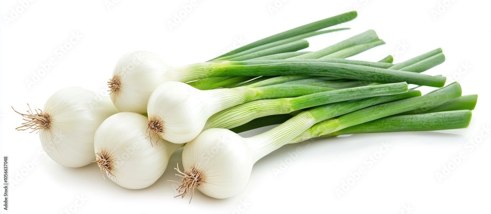 Fresh Bunching Onion Isolated On White Background Fresh Bunching Onion Isolated On White Background