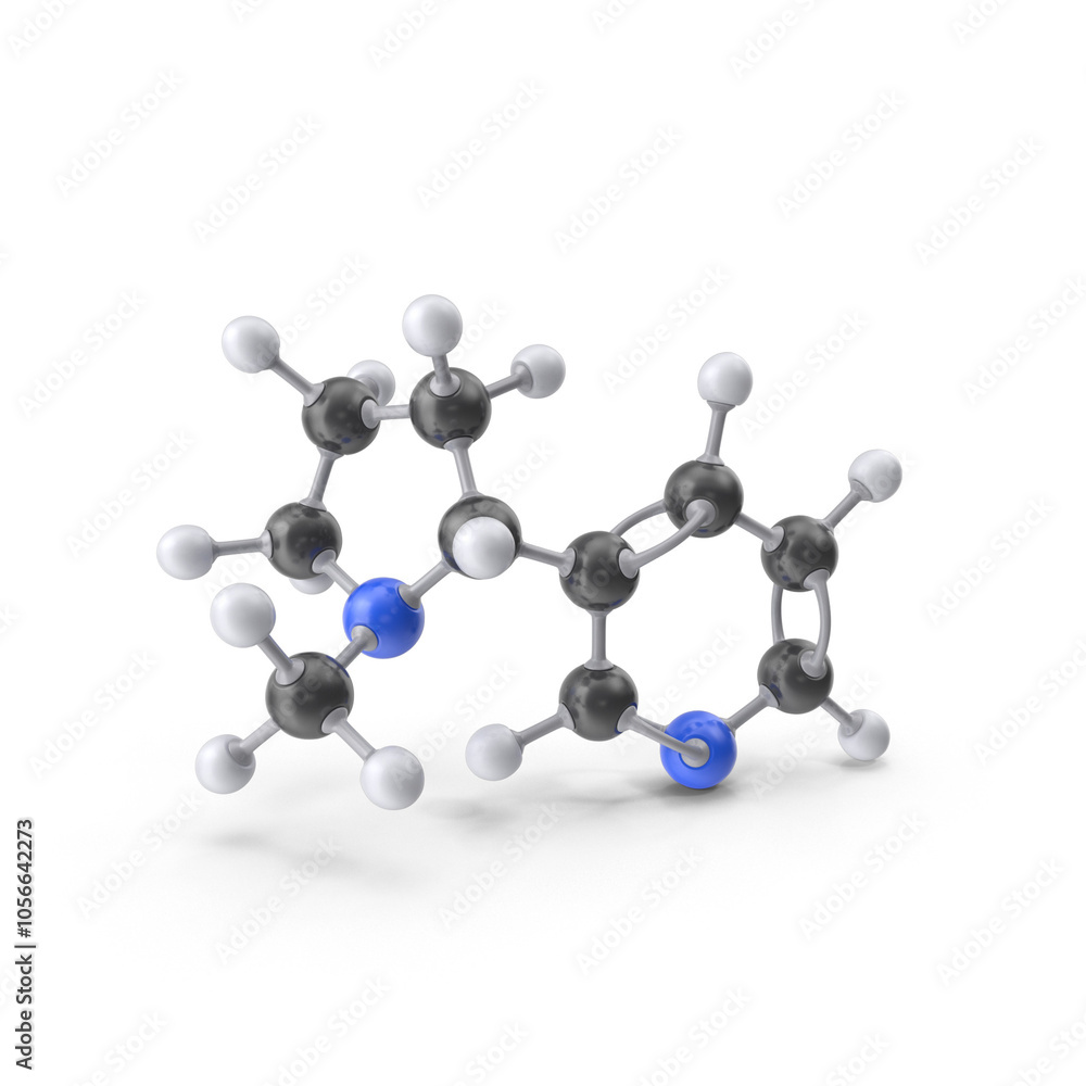 Nicotine atom molecule structure Nicotine atom molecule structure