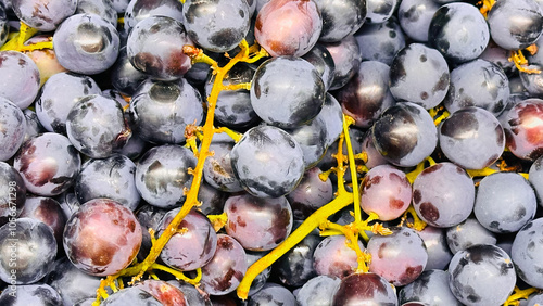 A close-up of freshly harvested dark purple grapes with visible stems, showcasing their natural texture and vibrant color.


