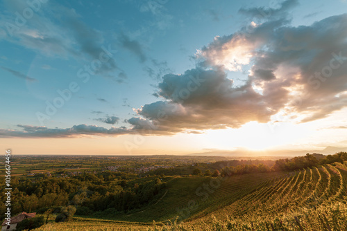Obraz na płótnie Colorful sunset in the vineyards of Savorgnano del Torre w salonie