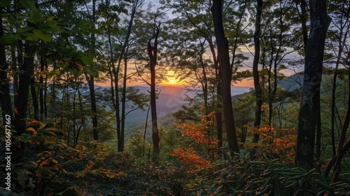 Sunset On The Mountain Through The Trees
