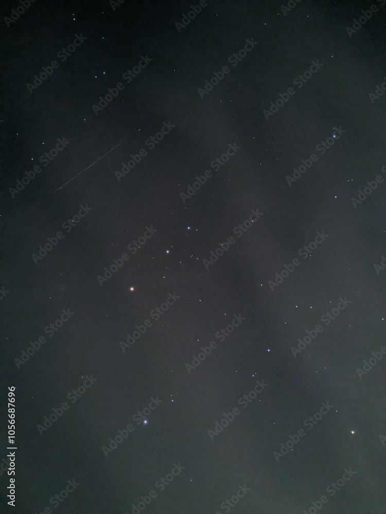 Fototapeta premium きれいな星空