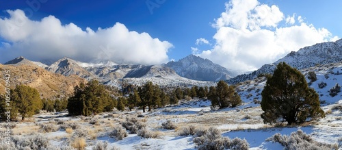 Snowy Mid Day Mountains In The Desert With Trees And Clouds photo