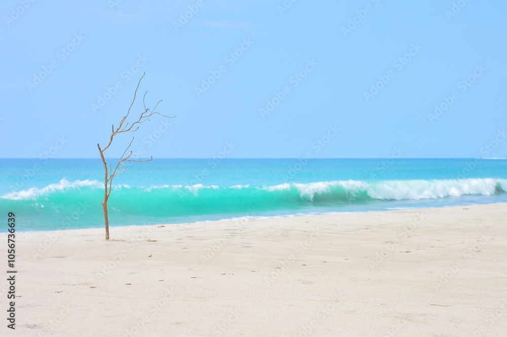 Blurred view of beauriful gradient color of tropical beach with a died tree on the side Blurred view of beauriful gradient color of tropical beach with a died tree on the side