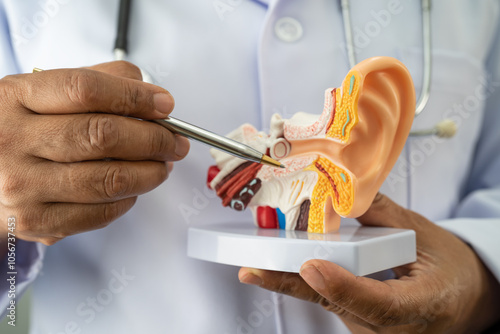 Foto Asian doctor holding human ear model to learn and treat hearing loss in patient