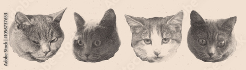 Set of photocopy funny cat heads. Halftone collage elements.