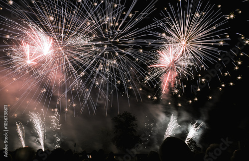 Spectacle d'un feu d'artifice. Emotion et vibration.