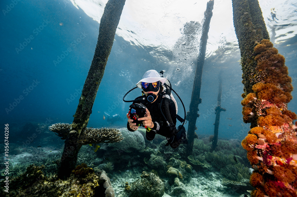 Diver exploring the marine life around Arborek Jetty in Raja Ampat Diver exploring the marine life around Arborek Jetty in Raja Ampat
