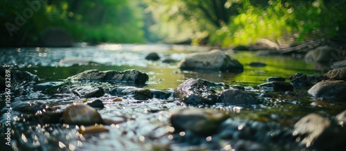 Close Up Of River Shallow Depth Of Field