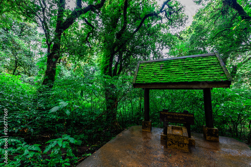 high angle nature background On the mountain overlooking the surrounding natural scenery, overlooking the sea, trees, rocks, trees, adventure tourism.