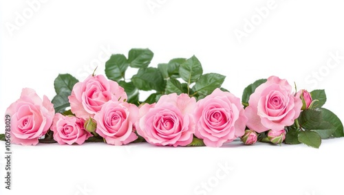 Delicate Pink Roses Bouquet