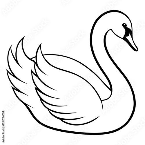 swan on the water