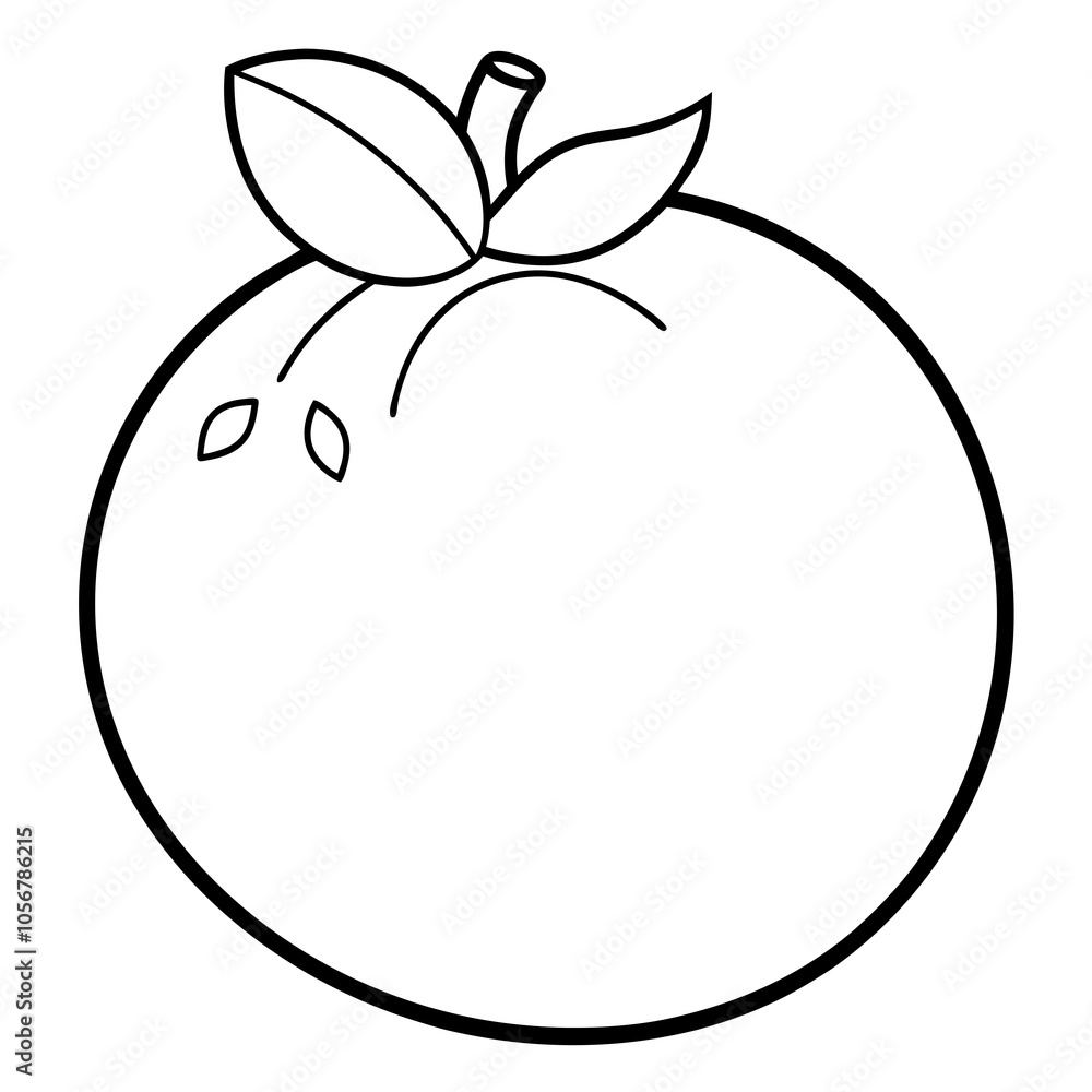 illustration of an blueberry illustration of an blueberry