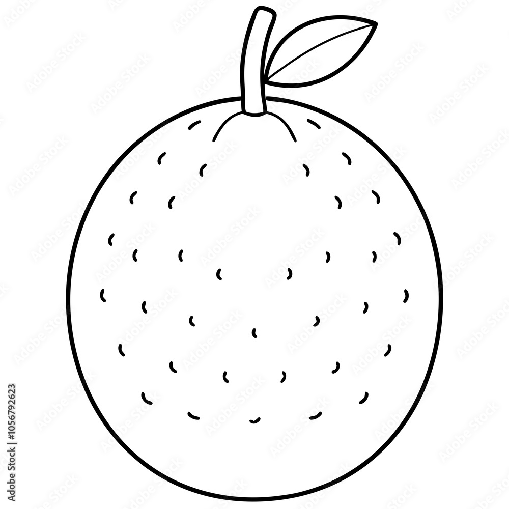illustration of an breadfruit illustration of an breadfruit