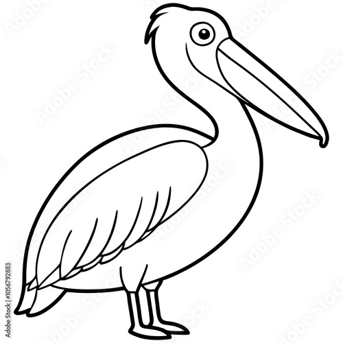 illustration of a pelican