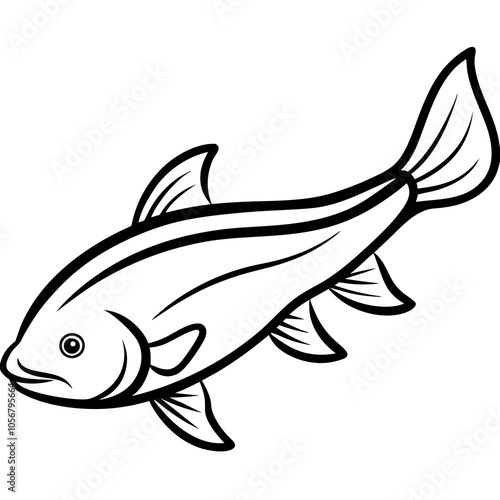 illustration of a catfish