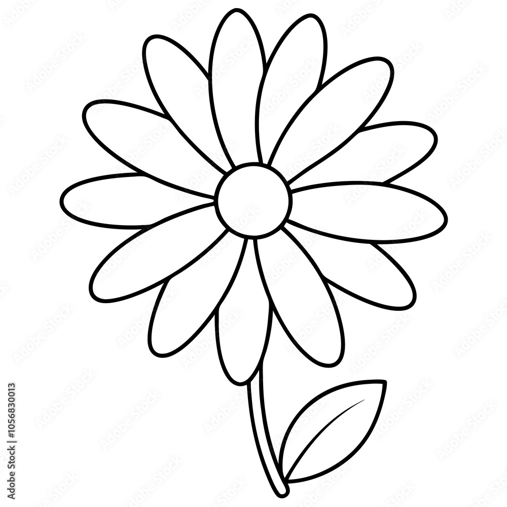 daisy flower isolated on white daisy flower isolated on white