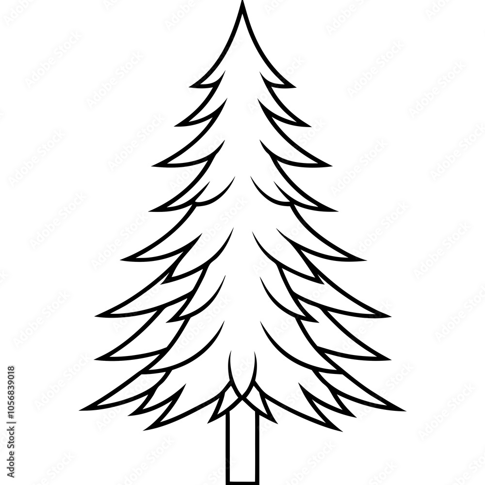 douglas fir trees isolated on white douglas fir trees isolated on white