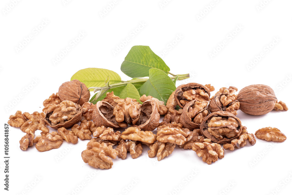 Obraz premium walnut and leaves