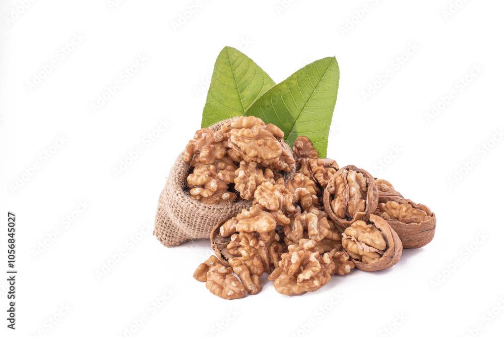 walnut and leaves walnut and leaves