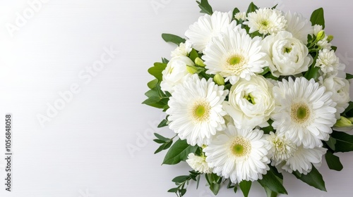 Serene white flowers on white background, minimalist floral design for modern aesthetics and elegant decor