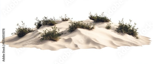 Fototapeta Naklejka Na Ścianę i Meble -  Desert Dune with Plants